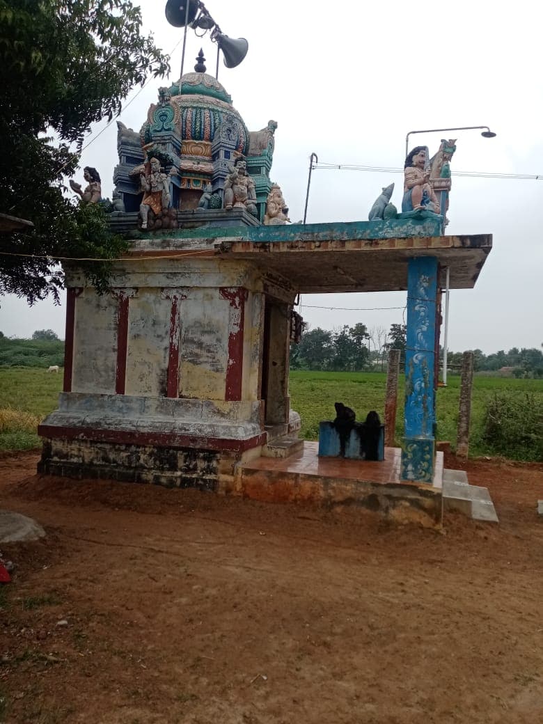 Arulmigu Selvavinayagar Temple, Thaanipatti - 630201